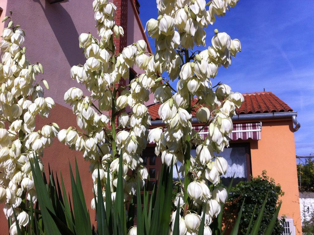 Karabaic Krk Apartment *